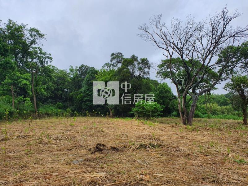 復旦路都計內湖畔美田房屋室內格局與周邊環境