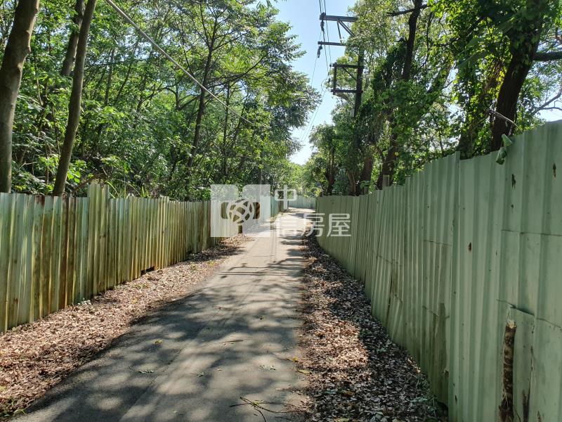復旦路都計內湖畔美田房屋室內格局與周邊環境