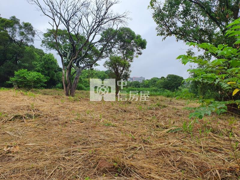 復旦路都計內湖畔美田房屋室內格局與周邊環境