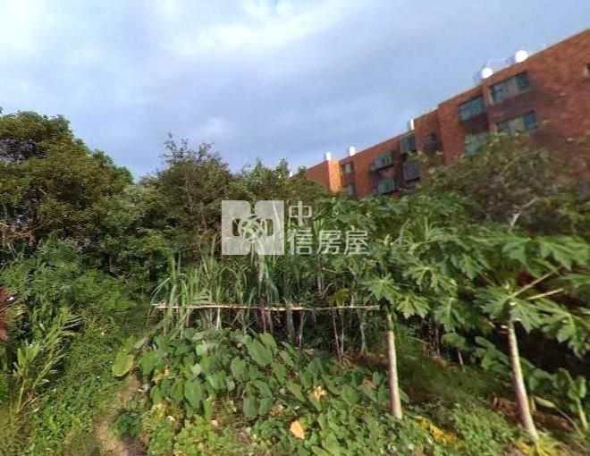 大坪數農業用地-泰山18甲店房屋室內格局與周邊環境