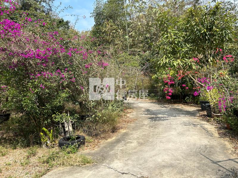 新化中興林場後花園休閒美農莊房屋室內格局與周邊環境