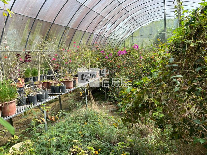 新化中興林場後花園休閒美農莊房屋室內格局與周邊環境