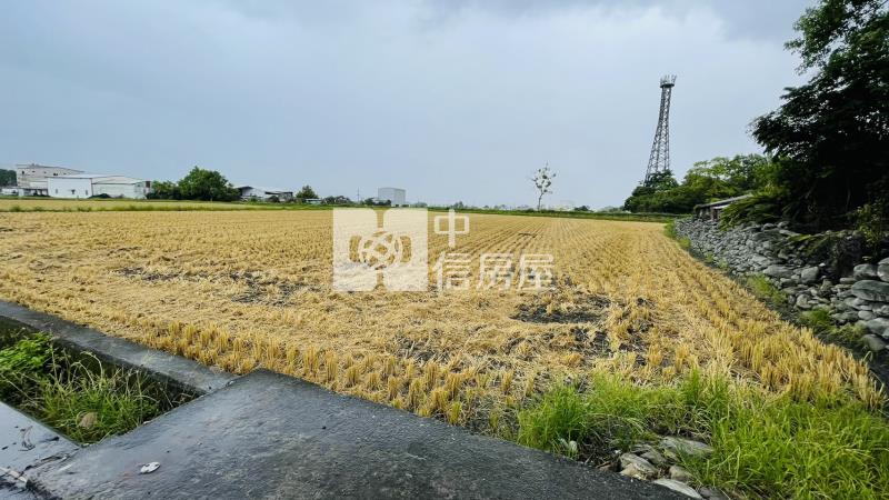 台東池上1064坪農地房屋室內格局與周邊環境