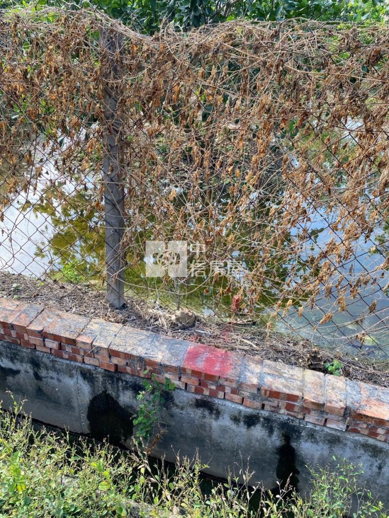 麻豆新樓醫院都計內農地房屋室內格局與周邊環境