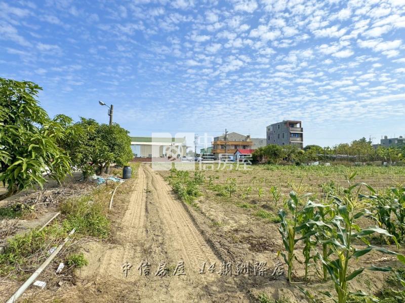 🔆台南西港新吉工業區🏭千坪農地🌱房屋室內格局與周邊環境