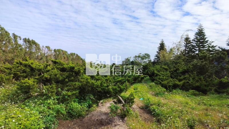 新屋臨路美農地房屋室內格局與周邊環境