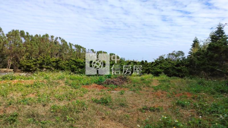 新屋臨路美農地房屋室內格局與周邊環境