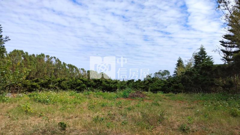 新屋臨路美農地房屋室內格局與周邊環境