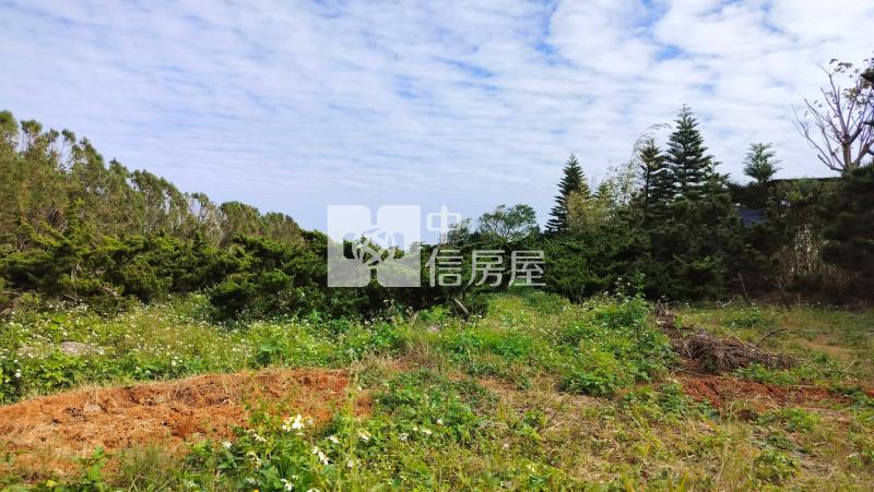 新屋臨路美農地房屋室內格局與周邊環境