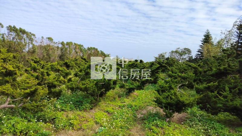 新屋臨路美農地房屋室內格局與周邊環境