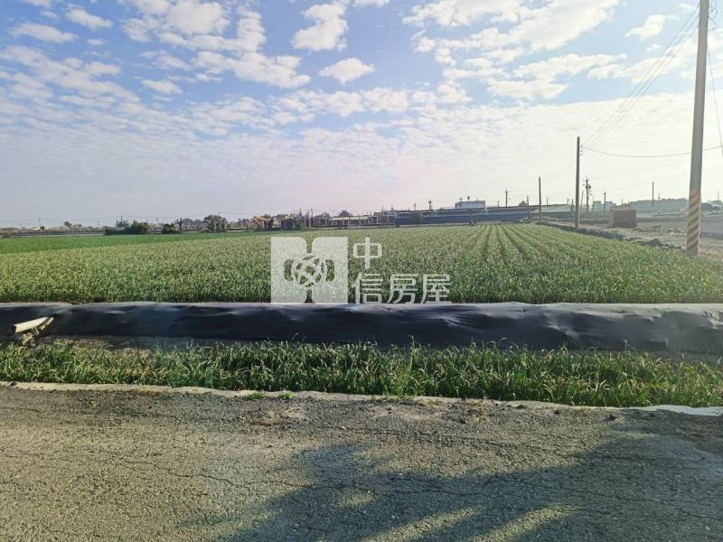四湖方正農地房屋室內格局與周邊環境