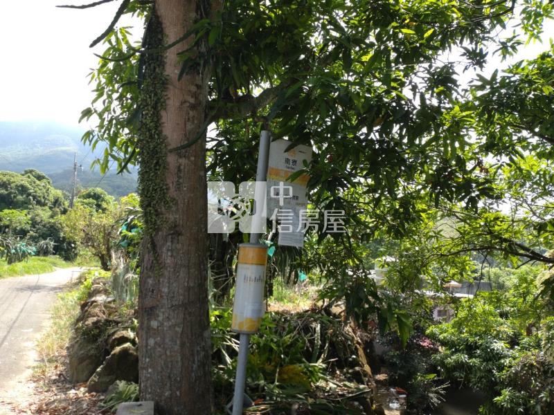 種植22年台灣肖楠3600坪林地房屋室內格局與周邊環境