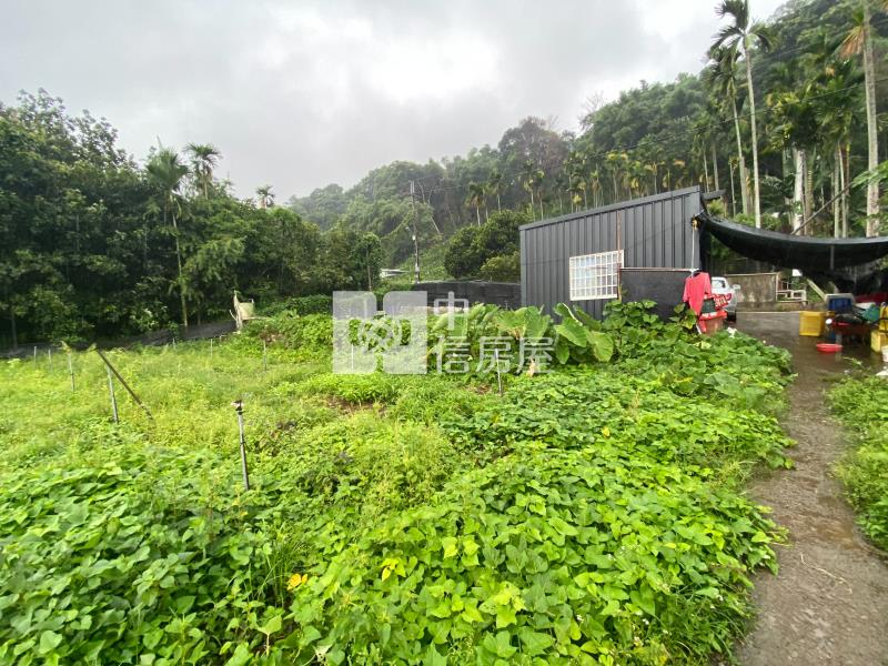 新社漂亮休閒農地房屋室內格局與周邊環境