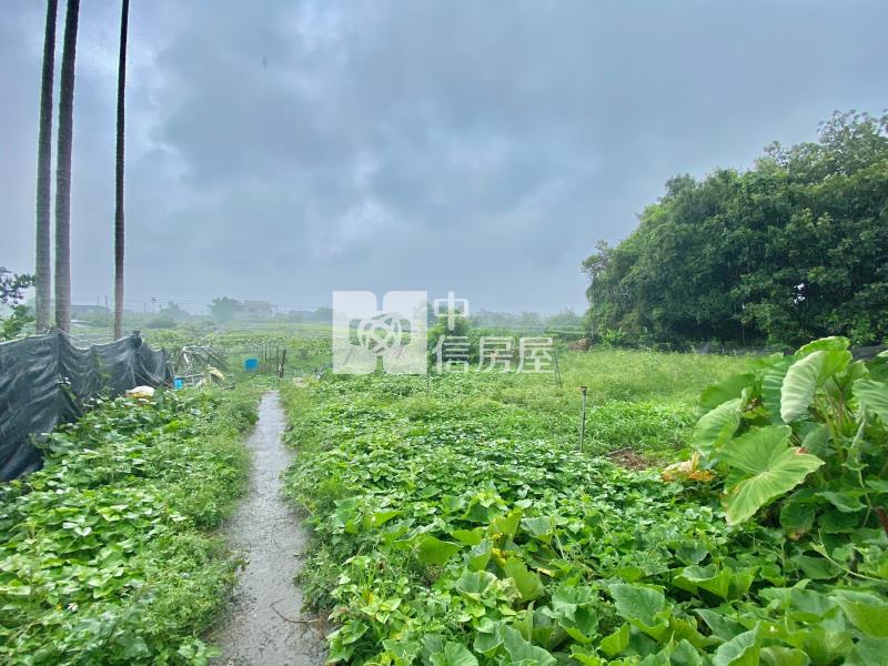 新社漂亮休閒農地房屋室內格局與周邊環境