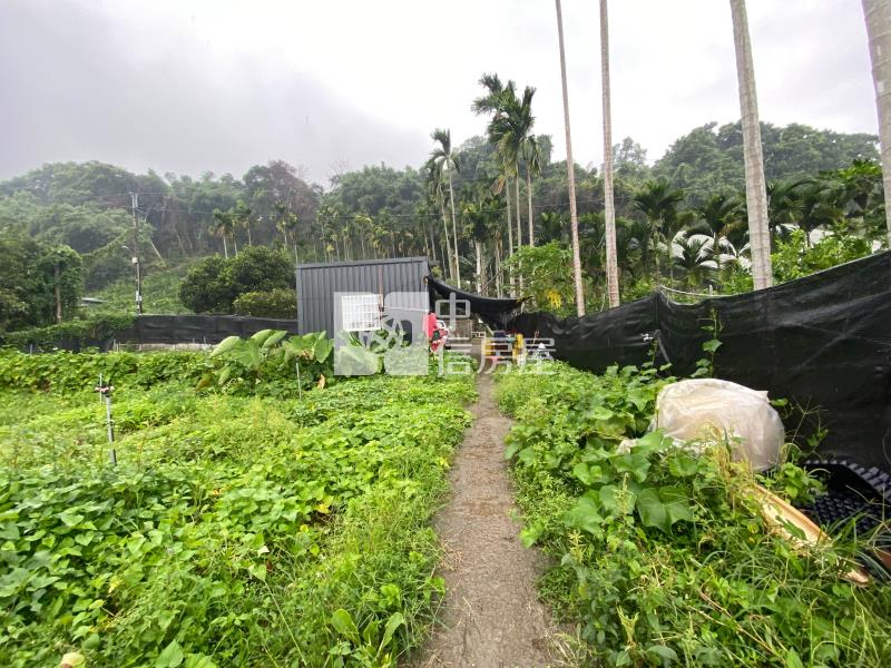 新社漂亮休閒農地房屋室內格局與周邊環境