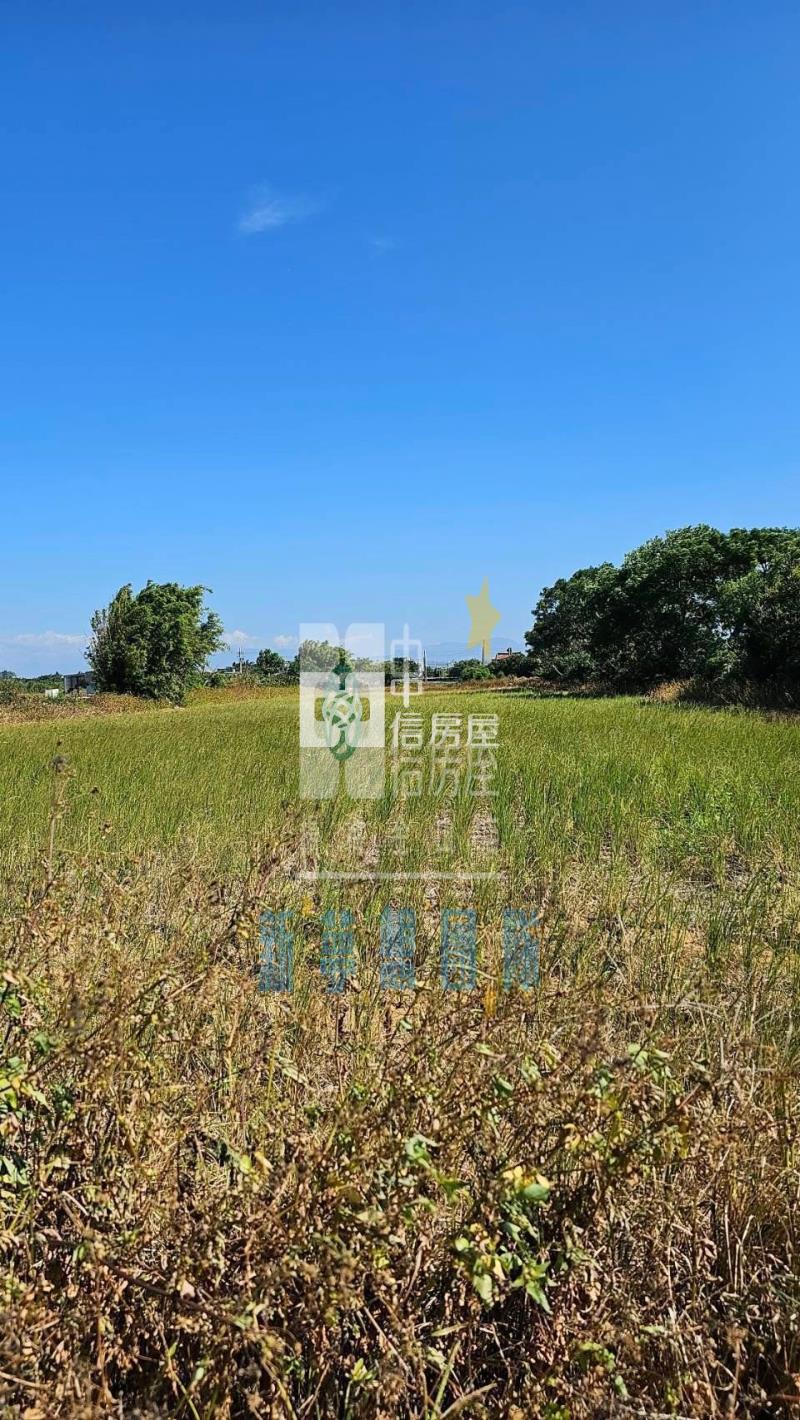【新夢想】新屋區小坪數超低價房屋室內格局與周邊環境