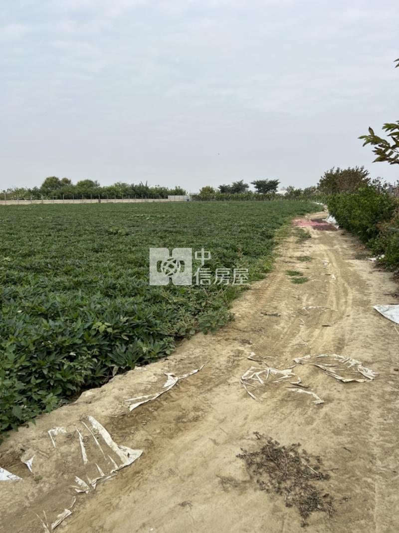 中洲24米路農地房屋室內格局與周邊環境