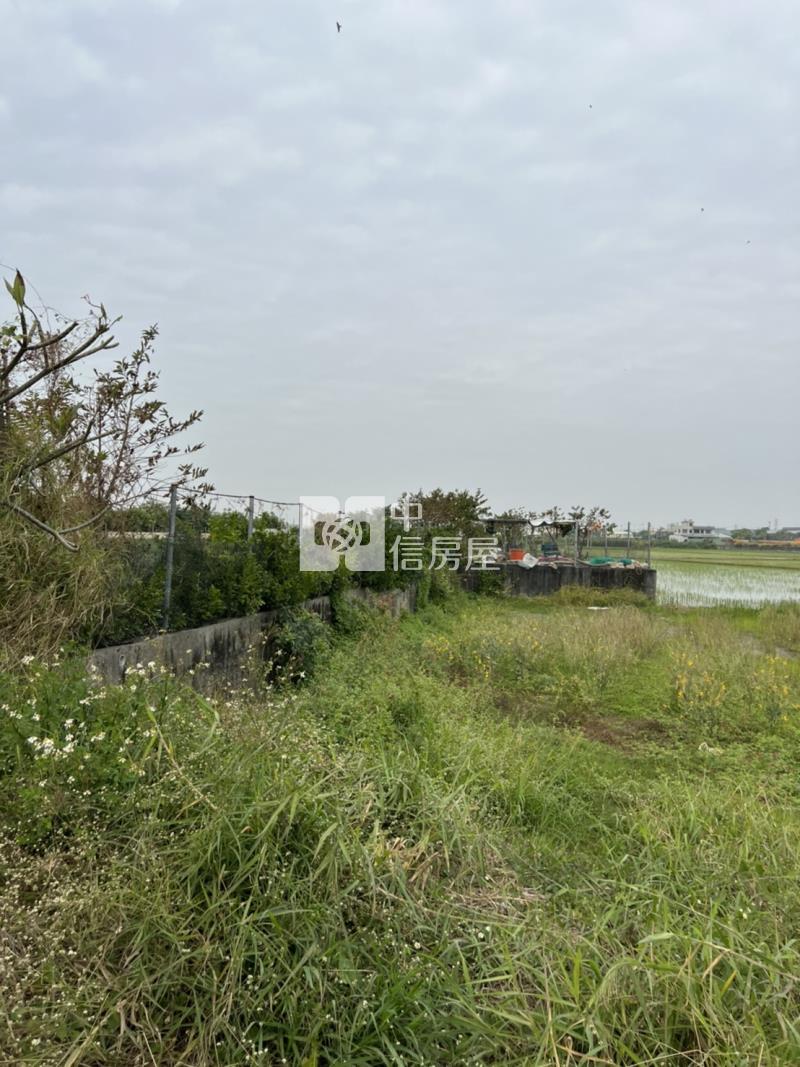 中洲24米路農地房屋室內格局與周邊環境