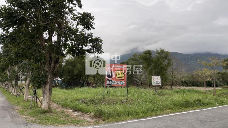 獨家專售 花蓮新城正中山路上漂亮住宅區建地角地房屋室內格局與周邊環境