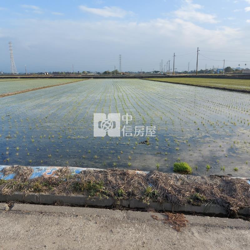 斗六久安雙面路農地房屋室內格局與周邊環境