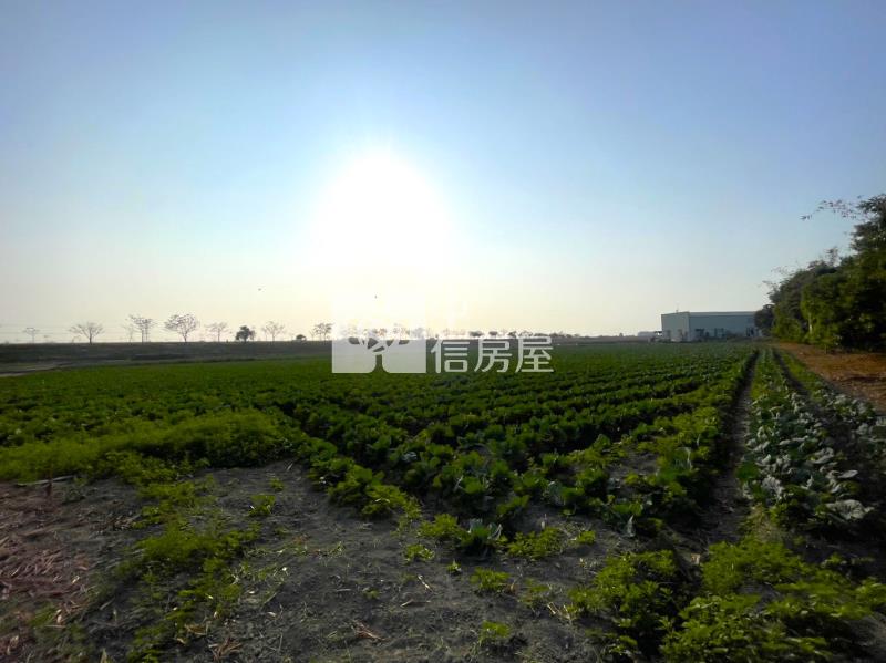 仁德中洲方正農地房屋室內格局與周邊環境