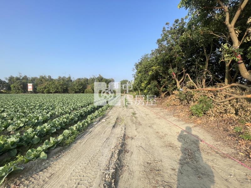 仁德中洲方正農地房屋室內格局與周邊環境
