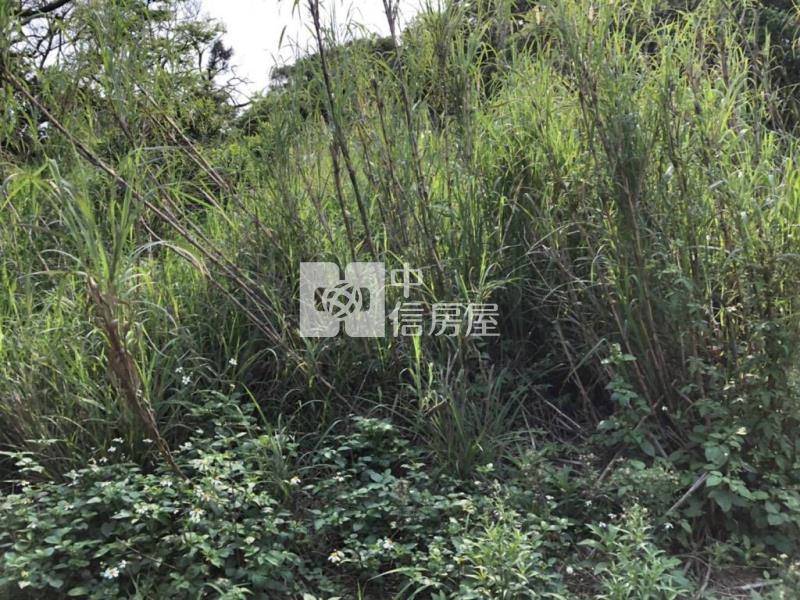 苗栗後龍美農地一般農業區、置產節稅佳、低單價房屋室內格局與周邊環境