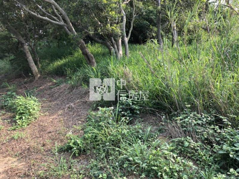 苗栗後龍美農地一般農業區、置產節稅佳、低單價房屋室內格局與周邊環境