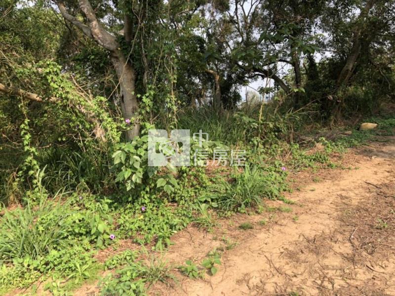 苗栗後龍美農地一般農業區、置產節稅佳、低單價房屋室內格局與周邊環境