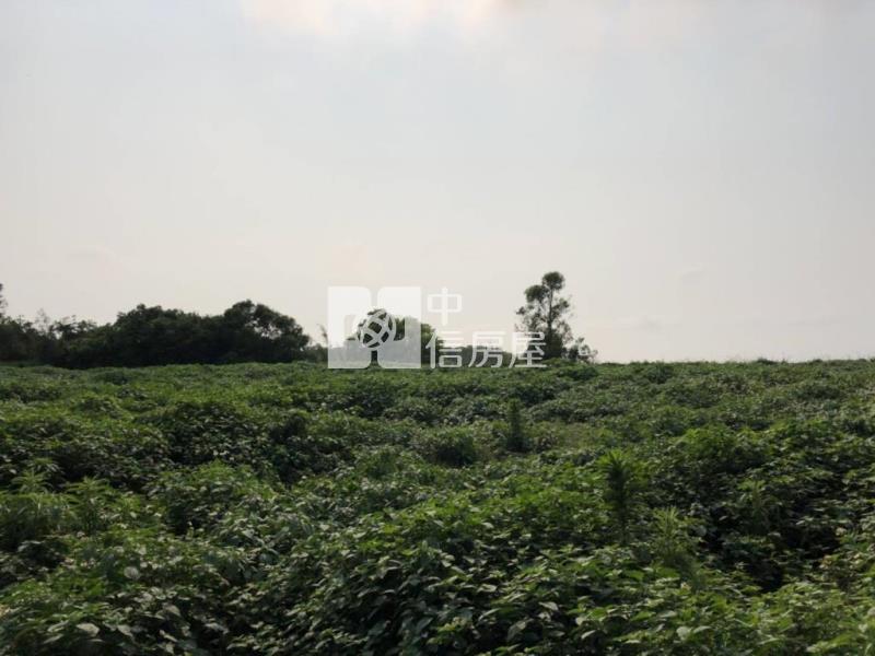 苗栗後龍美農地一般農業區、置產節稅佳、低單價房屋室內格局與周邊環境