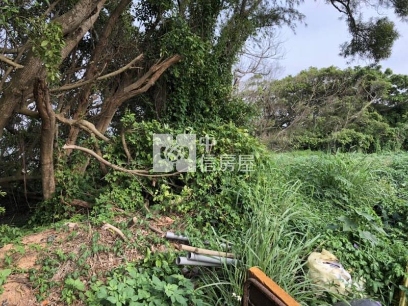 苗栗後龍美農地一般農業區、置產節稅佳、低單價房屋室內格局與周邊環境