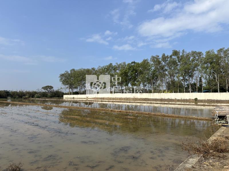 【安家】新屋社子國小美農地房屋室內格局與周邊環境