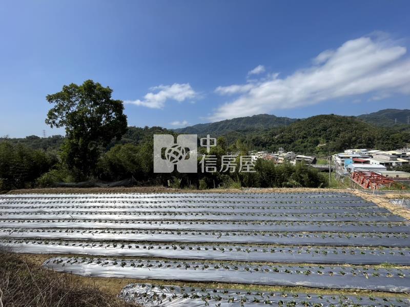 1F26大湖丙建農地房屋室內格局與周邊環境