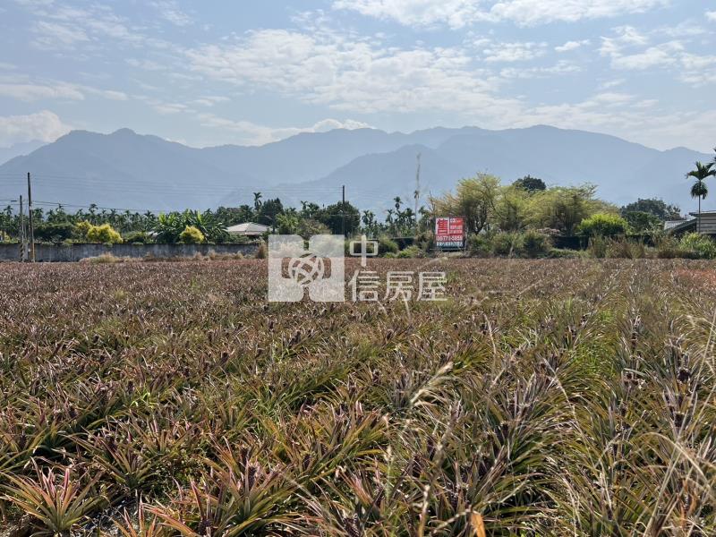 【專約】內埔山景雙面路農地(3.68分)房屋室內格局與周邊環境