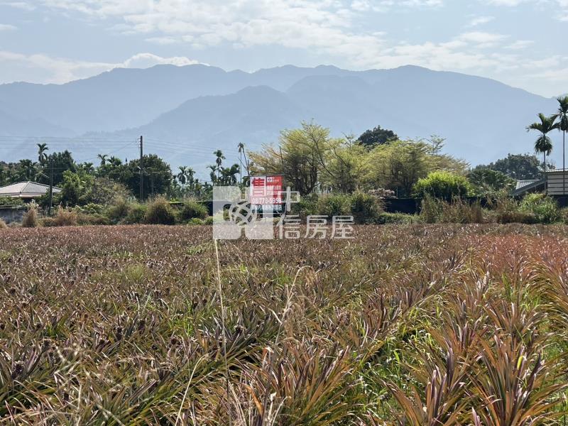 【專約】內埔山景雙面路農地(3.68分)房屋室內格局與周邊環境