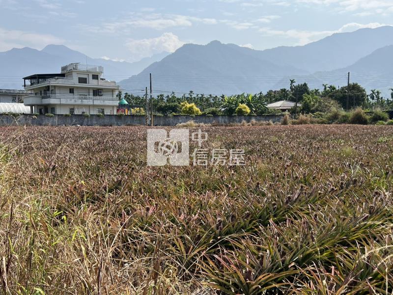 【專約】內埔山景雙面路農地(3.68分)房屋室內格局與周邊環境