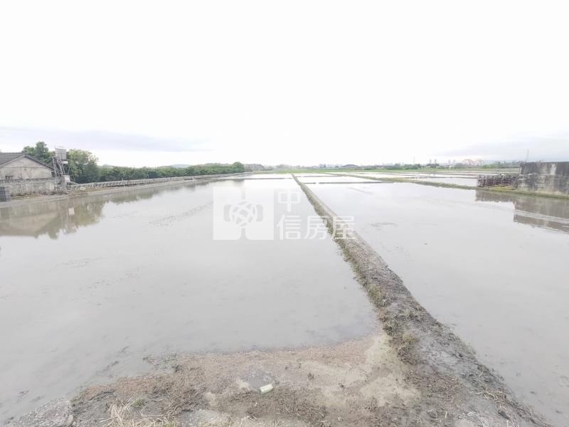 烏日低單價臨路保值農地房屋室內格局與周邊環境