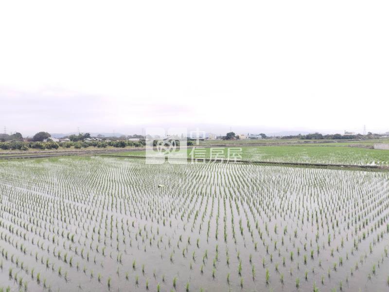 烏日低單價臨路保值農地房屋室內格局與周邊環境