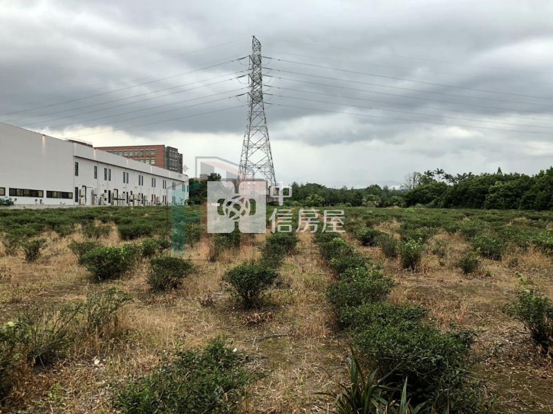 【豐禾】(專)龍潭渴望會館超市旁美農地房屋室內格局與周邊環境