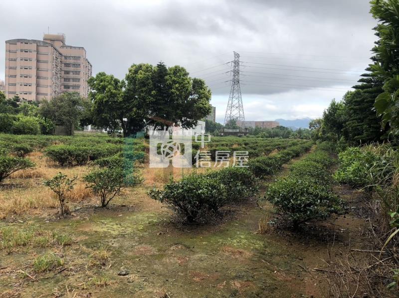 【豐禾】(專)龍潭渴望會館超市旁美農地房屋室內格局與周邊環境
