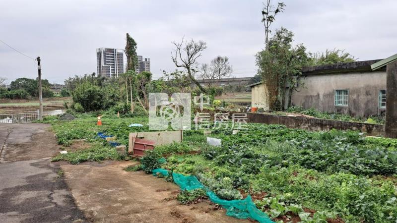 聖德路青松農場甲建房屋室內格局與周邊環境