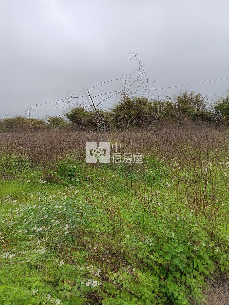 保生國小美農地房屋室內格局與周邊環境