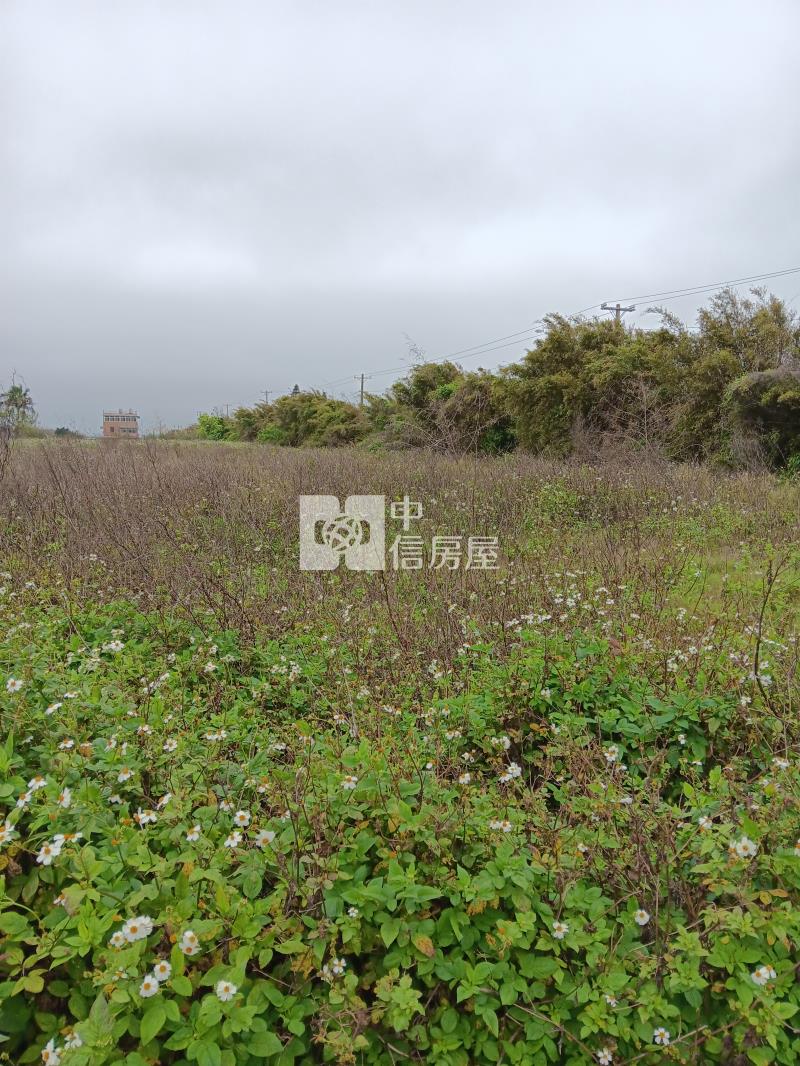 保生國小美農地房屋室內格局與周邊環境