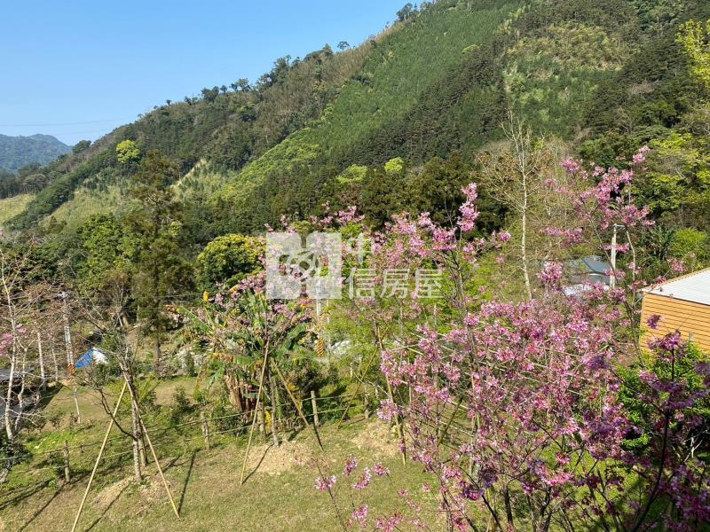 南庄休閒度假景觀屋房屋室內格局與周邊環境