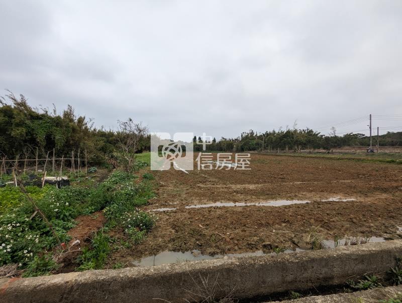 新屋區近西濱61快速道路崁厝段雙面臨路美農地房屋室內格局與周邊環境