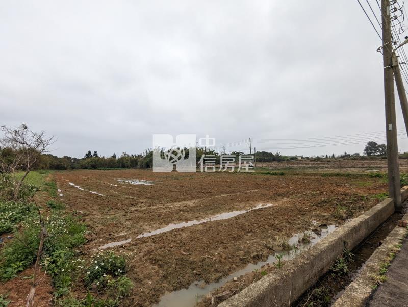 新屋區近西濱61快速道路崁厝段雙面臨路美農地房屋室內格局與周邊環境