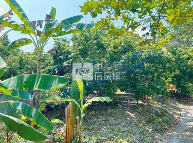 左鎮台20線1878持分農地房屋室內格局與周邊環境