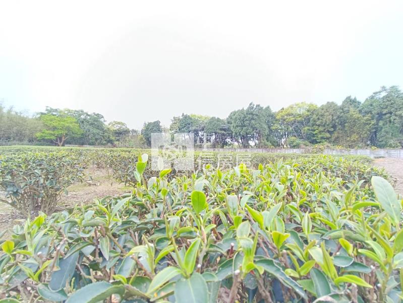 【安家】龍潭高爾夫球場近富華街農+建地房屋室內格局與周邊環境