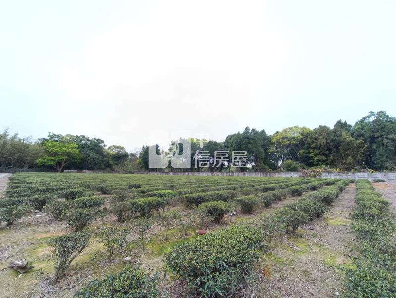 【安家】龍潭高爾夫球場近富華街農+建地房屋室內格局與周邊環境