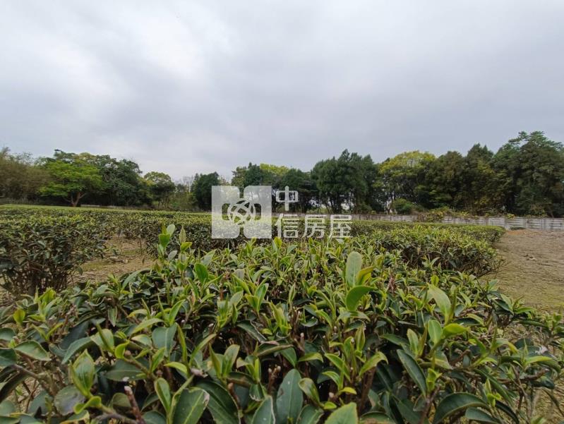 【安家】龍潭高爾夫球場近富華街農+建地房屋室內格局與周邊環境